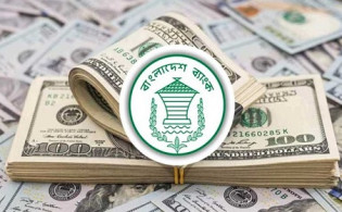 এনসিপিতে যোগ দিচ্ছেন ‘ওয়ারিয়র্স অব জুলাই’র ৪ হাজার সদস্য