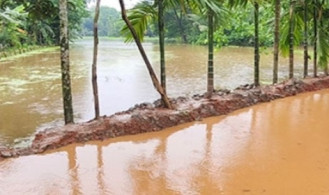 কাপাসিয়ায় পানিবন্দি ৫ গ্রাম, ফসল ও মাছ ভেসে দিশেহারা এলাকাবাসী