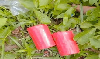 কালিগঞ্জে বিএনপি অফিসের সামনে থেকে ককটেল উদ্ধার