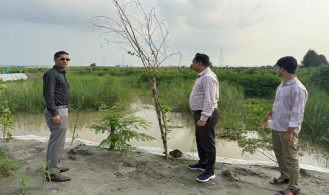 লৌহজংয়ে অবৈধ বালু ভরাট বন্ধে প্রশাসনের অভিযান