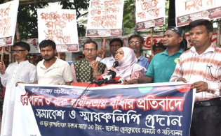 ‘জামায়াত-এনসিপি সরকারের আস্তিনের সাপ’