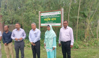 দিনাজপুরে ধান প্রযুক্তি গ্রাম পরিদর্শন করলেন কৃষি মন্ত্রণালয়ের প্রতিনিধি দল