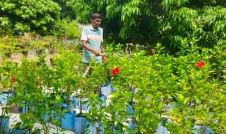 চাকুরি ছেড়ে আঙিনায় শখের নার্সারি, তাতেই সুচিত্র'র কর্মসংস্থান