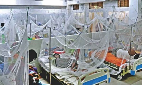 ডেঙ্গুতে একজনের মৃত্যু, আক্রান্ত ৩৮৬