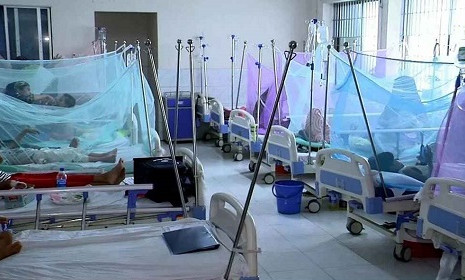 ডেঙ্গুতে আরও ২ মৃত্যু, হাসপাতালে ৩৮৬ জন