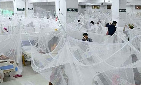 ডেঙ্গুতে আরও ৩ জনের মৃত্যু, হাসপাতালে ৬৮৫
