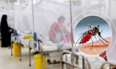 ডেঙ্গুতে গেল আরও ৪ প্রাণ