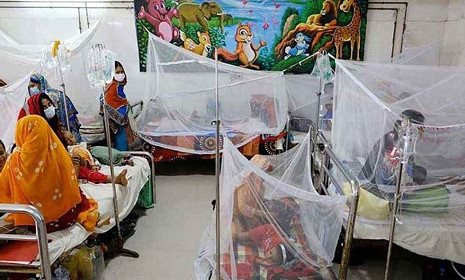 ৭ দিনে ডেঙ্গুতে ১৯ জনের মৃত্যু