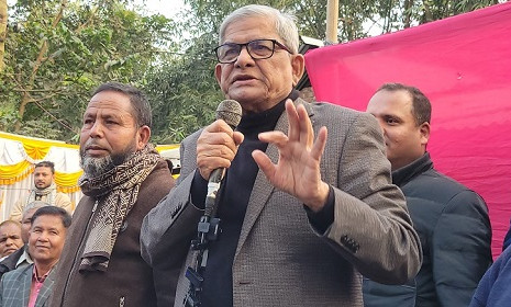 দেশে শুধু দুটোই মার্কা, নৌকা আর ধানের শীষ : ফখরুল