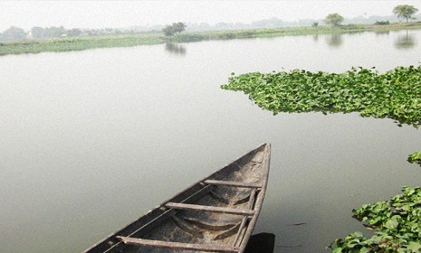 জলাভূমি সংরক্ষণে বৈশ্বিক সংকট ও মানব দায়িত্ব 