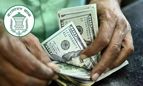 প্রবাসী আয়ে চাঙ্গা রিজার্ভ