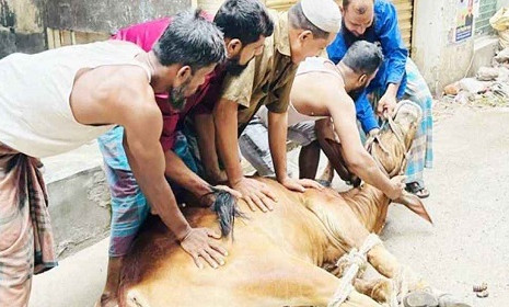 পাড়া-মহল্লায় চলছে পশু কোরবানি