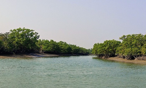 সুন্দরবন বাঁচাতে টানা ৩ মাসের নিষেধাজ্ঞা, সাতক্ষীরা উপকূলে বাড়বে দারিদ্র্যতা
