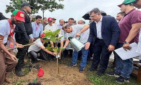 ২৫ কোটি বৃক্ষরোপণ কর্মসূচির উদ্বোধন করলেন প্রধানমন্ত্রী