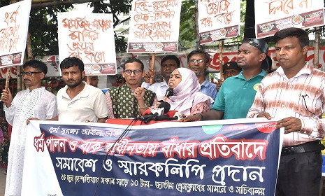‘জামায়াত-এনসিপি সরকারের আস্তিনের সাপ’