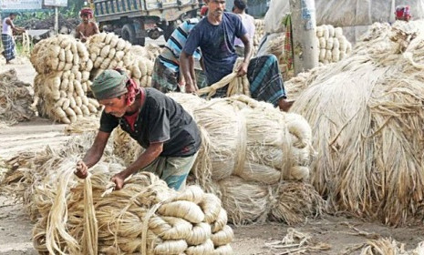 বিশ্ববাজারে পাটের হারানো গৌরব ফিরে আসুক