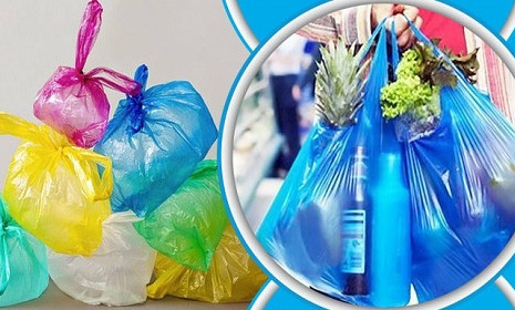 প্লাস্টিক ব্যাগের আগ্রাসন রুখে বাঁচাই সবুজ পৃথিবী