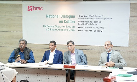 দেশে তুলা চাষের অপার সম্ভাবনা, প্রয়োজন সমন্বিত উদ্যোগ ও প্রণোদনা