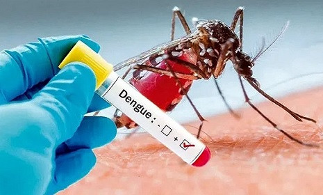 ডেঙ্গুতে আরও ছয়জনের মৃত্যু, হাসপাতালে ভর্তি ১৬৫৫
