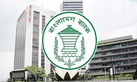 তিন দিন বন্ধ থাকার পর চালু বাংলাদেশ ব্যাংকের ওয়েবসাইট