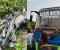 নড়াইলে বেপরোয়া বাসের ধাক্কায় শিশু নিহত, আহত ৩ জন