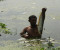 মাছের সাথে এ কেমন শত্রুতা