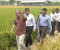 ‘সাবেক রাষ্ট্রপতির দেশত্যাগে জড়িতদের শাস্তি দিতে না পারলে পদত্যাগ করবো’