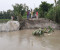 কুড়িগ্রামে ব্রহ্মপুত্র নদের ভাঙনে বিলিন বাড়িঘর আবাদিজমিসহ কমিউনিটি ক্লিনিক