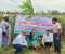 ঠাকুরগাঁওয়ে বৃক্ষরোপণ কার্যক্রম উদ্বোধন