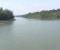 লাগাতর অভিযানে প্রাণ ফিরেছে সুন্দরবনে 