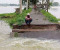 পানি বাড়ছে যেসব নদীর 