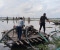 সংবাদ প্রকাশের পর ফসলী মাঠে অবৈধ ড্রেজার বিনষ্ট করলো প্রশাসন 