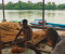 কাপ্তাই হ্রদে মৎস্য আহরণ শুরু হচ্ছে মধ্যরাতে