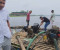 মরা পদ্মা নদীতে ৫টি ড্রেজার বিকল ও সংযোগ বিচ্ছিন্ন, ধরা পড়েনি মালিক