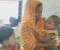 কালীগঞ্জে শিশু মারিয়ামের ওপর অমানবিক নির্যাতন, মানবিক সহায়তায় এগিয়ে এলো এক দল তরুণ