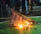 ‘যুক্তরাষ্ট্রের পতাকা পোড়ালে কারাদণ্ড-ভিসা বাতিল’