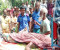 বোয়ালমারীতে রেলওয়ের গাছ কাটতে গিয়ে চাপা পড়ে শ্রমিকের মৃত্যু
