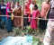 কুষ্টিয়ায় আধিপত্য বিস্তার নিয়ে সংঘর্ষ, প্রাণ গেল মামা-ভাগ্নের