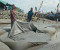 হাতিয়ায় নদী ভাঙন রোধকল্পে ফেলা বালিভর্তি জিও ব্যাগ ছিঁড়ে ফেলার অভিযোগ