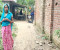 এসিল্যান্ডের বিরুদ্ধে পক্ষপাতিত্ব প্রতিবেদন পাঠানোর অভিযোগ 