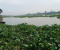 লাশ গুম করতে নদীকে ব্যবহার করছে অপরাধীরা