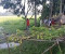 সালথায় যুবকের ঝুলন্ত মরদেহ উদ্ধার