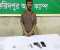 ফরিদপুরে বিদেশি পিস্তল, গুলি ও মাদকসহ যুবক গ্রেপ্তার
