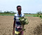 কৃষকের ৭ বিঘা জমির ফসল নষ্টের অভিযোগ 