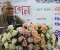 ‘সরকার জনগণের কাছে জবাবদিহির মধ্য দিয়েই রাষ্ট্র পরিচালনা করছে’