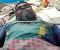 সুন্দরবনের অভয়ারণ্যে কাঁকড়া ধরার সময় বনবিভাগের গুলিতে জেলে নিহত