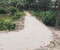 রেকডীয় জমির উপর দিয়ে জোরপূর্বক সরকারি রাস্তা নির্মাণে বাধা, মালিককে মারপিট