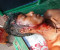 একই পরিবারের ১০ জনকে পিটিয়ে ও কুপিয়ে জখম