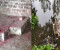বগুড়ায় তিনটি মন্দিরে প্রতিমা ভাঙচুর, এলাকাজুড়ে উদ্বেগ ক্ষোভ