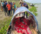 পদ্মায় গুলিবিদ্ধ যুবকের মরদেহ উদ্ধার, আহত ১